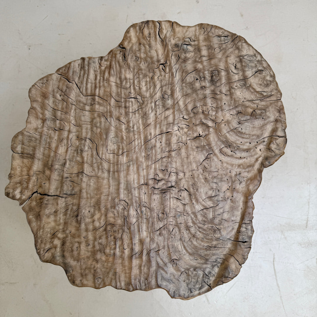 Ancient burr elm side table | Octavia