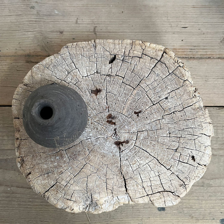 Small root wood antique tree stump | C