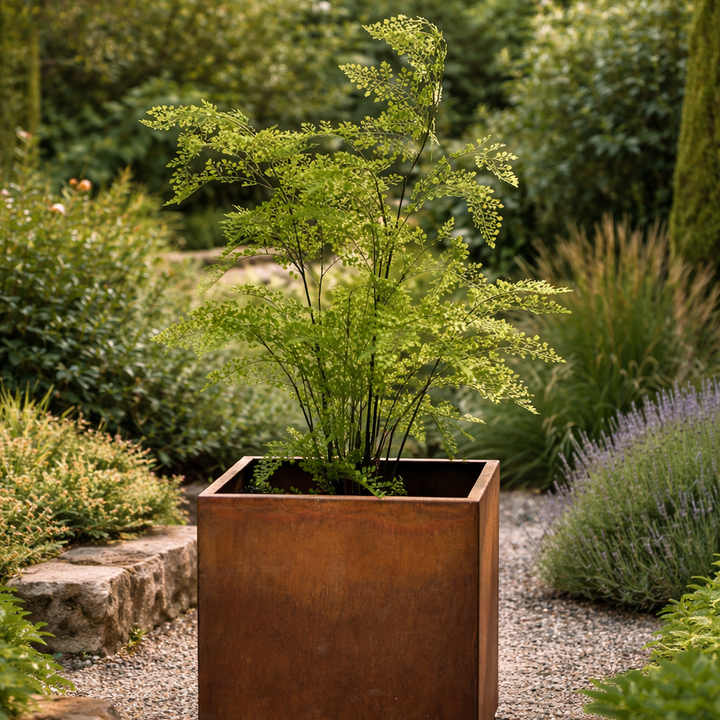 Corten steel square garden planter 