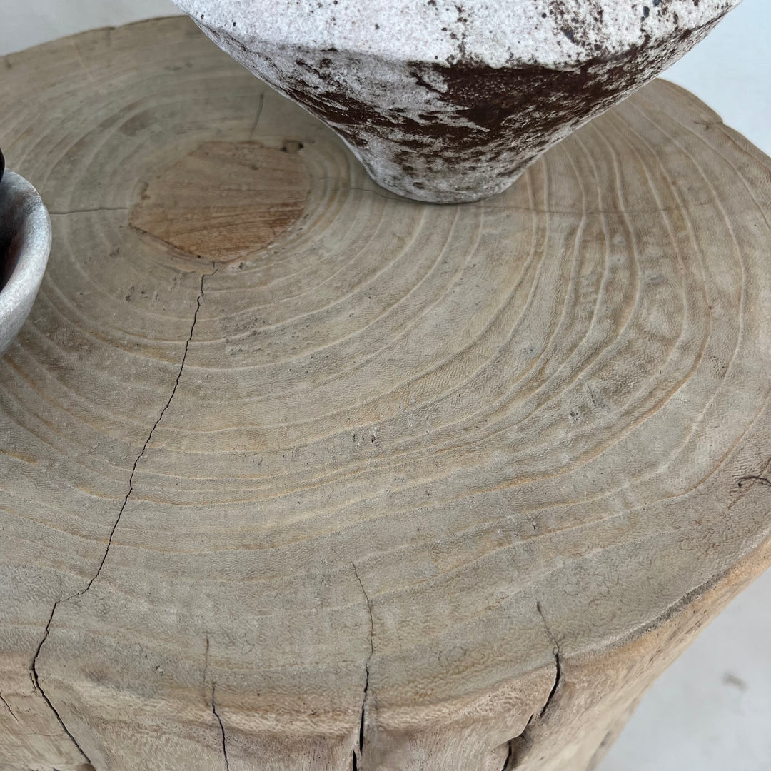 Salvaged Wood Tree Stump Side Table