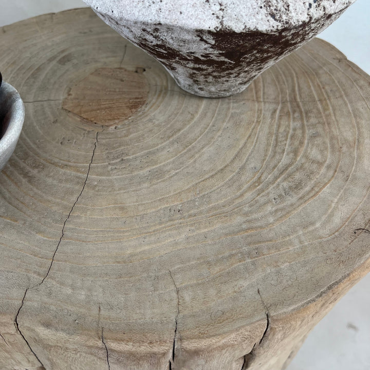 Salvaged Wood Tree Stump Side Table