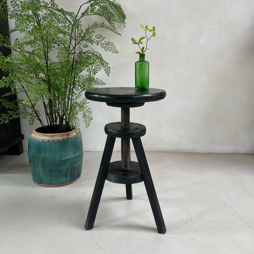 Vintage Black Round Top Screw Studio Stool