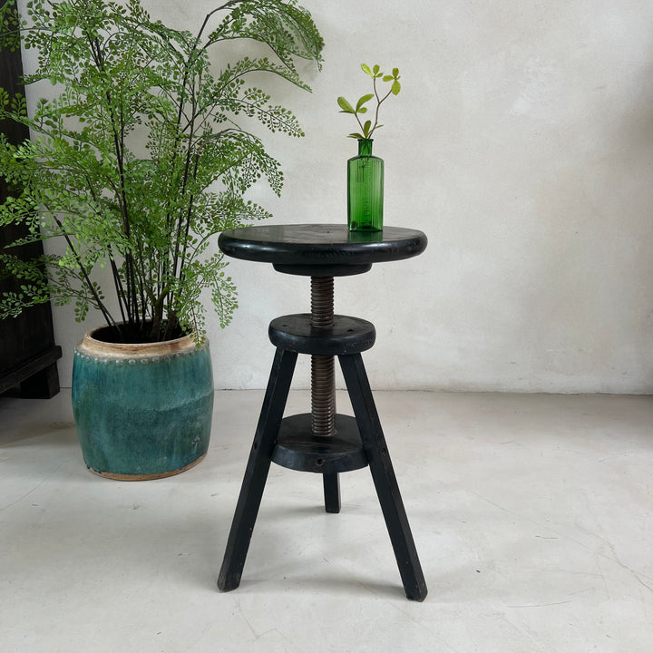 Vintage Black Round Top Screw Studio Stool