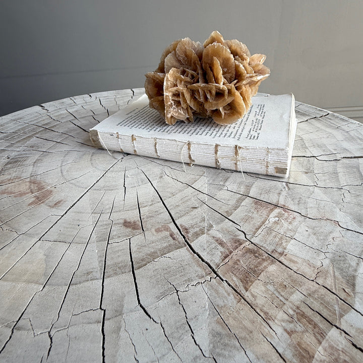 Tree Stump Side Table | Brentwood