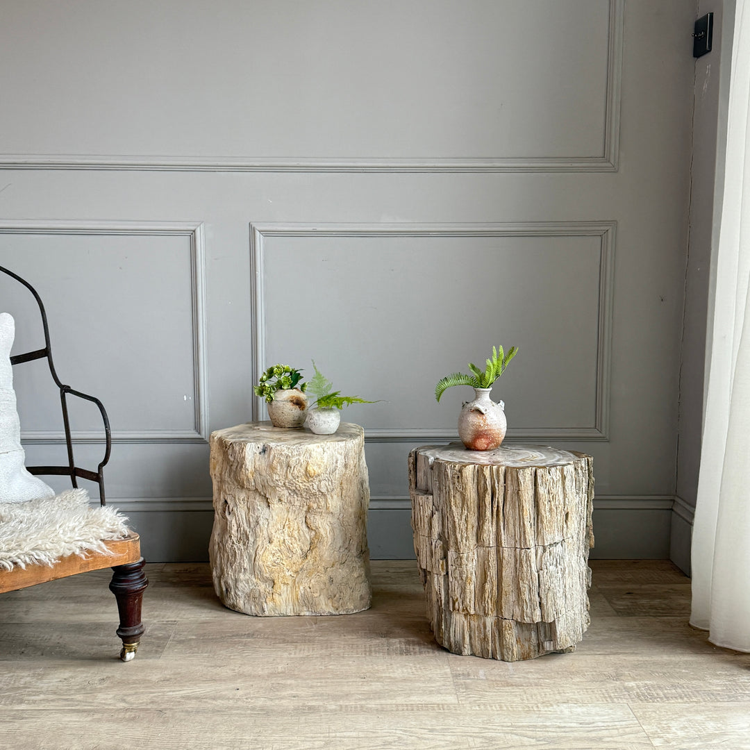 Petrified Wood Side Tables