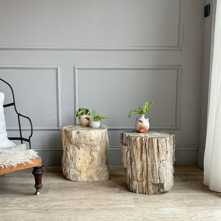 Petrified Wood Side Tables