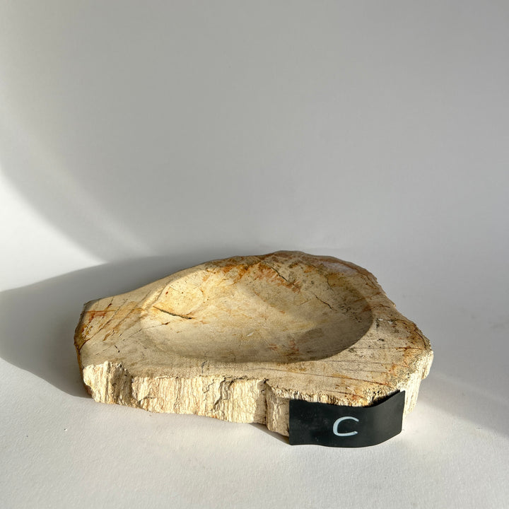 Petrified Wood stone Bowls