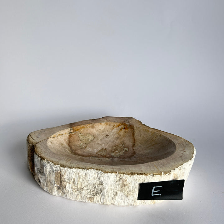 Petrified Wood stone Bowls