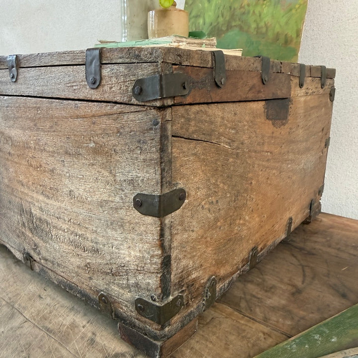 Antique Indian Elm Storage Box | Nina