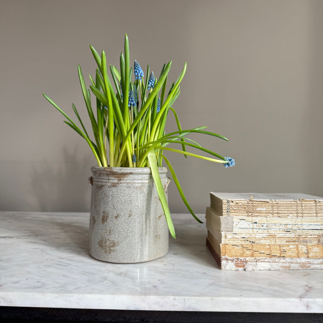 Distressed Grey Confit Pot | Bordeaux