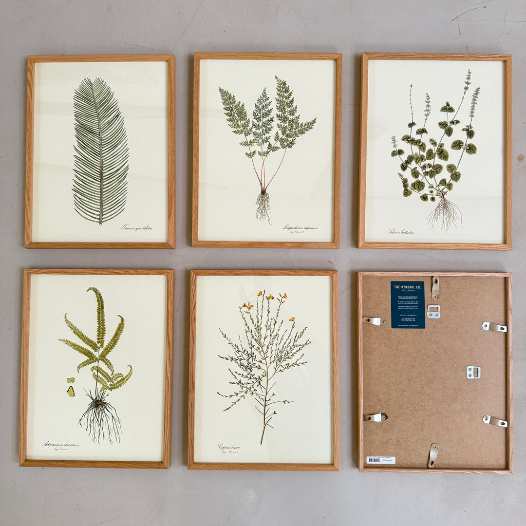 Oak Framed Botanical Prints