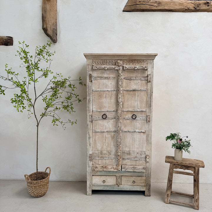 Salvaged Indian Antique Door Cupboard Rena