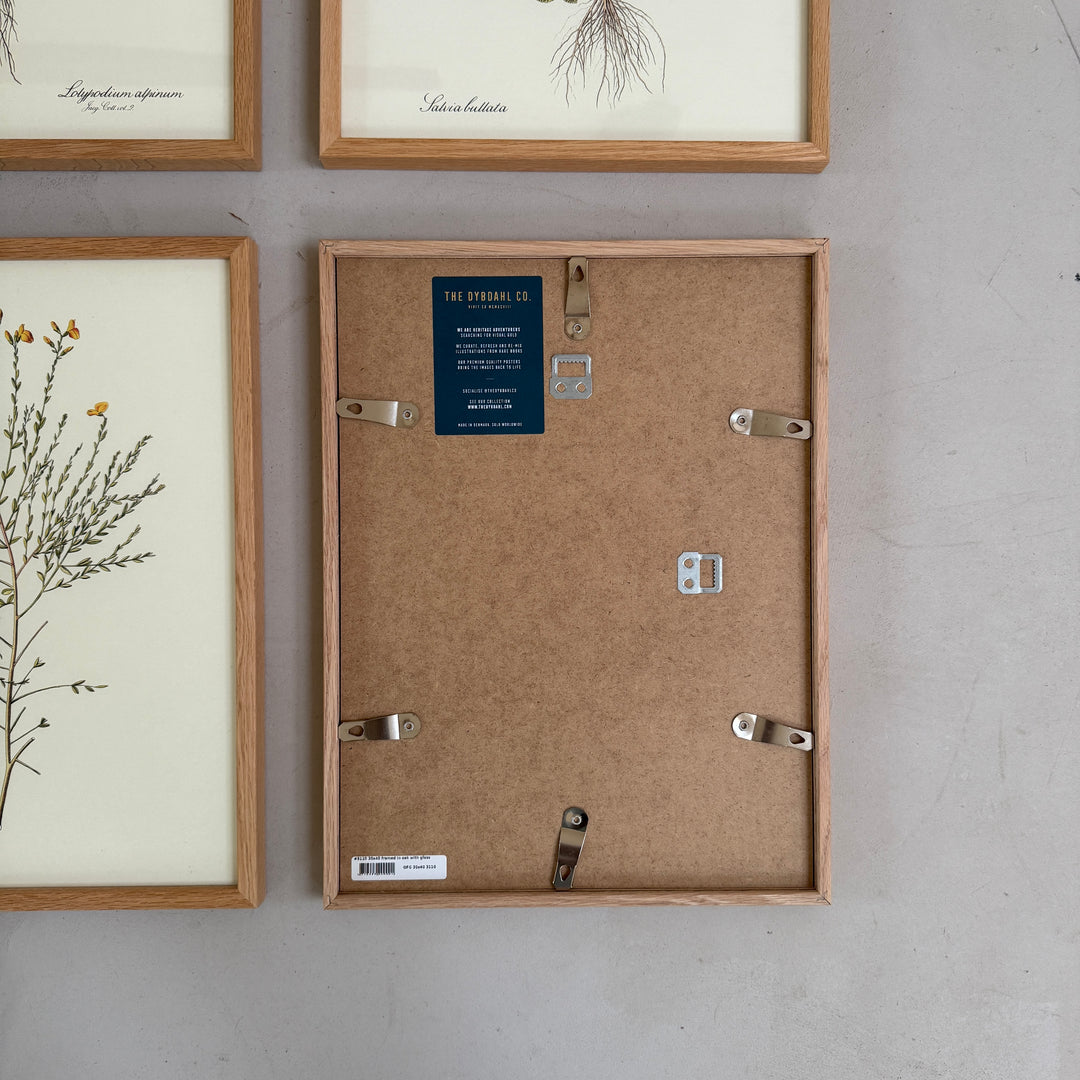 Oak Framed Botanical Prints