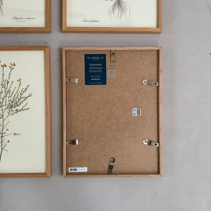 Oak Framed Botanical Prints