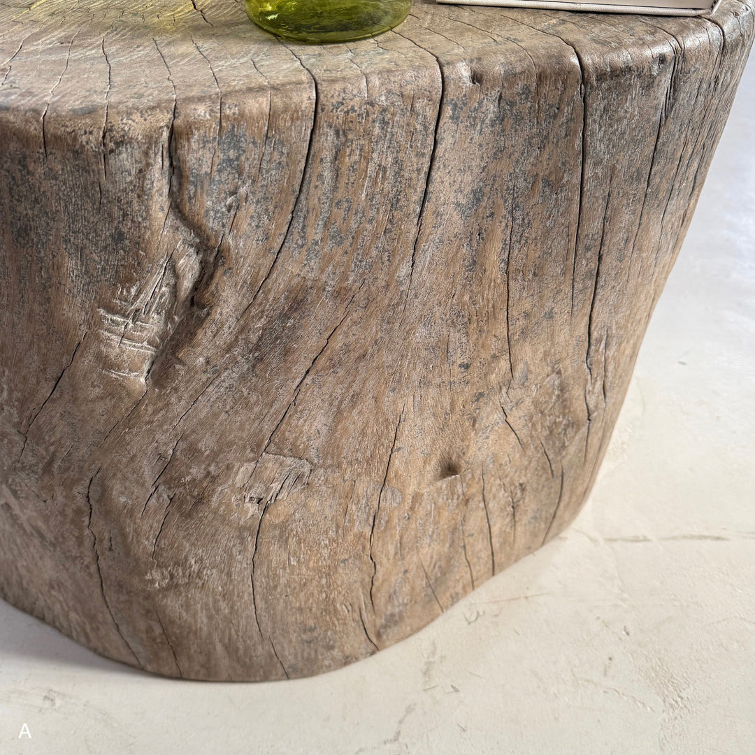Natural Tree Trunk Side Table