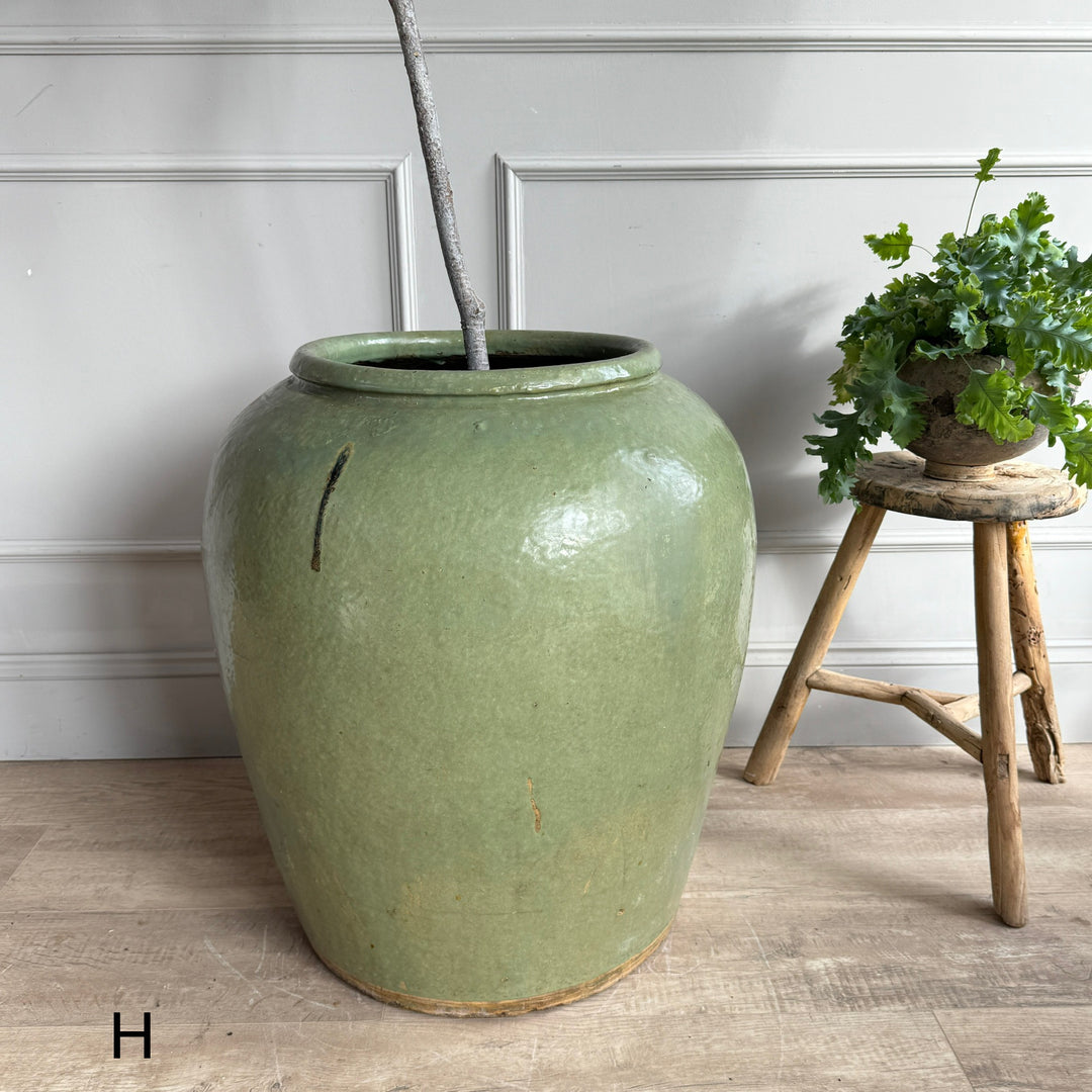 Extra Large Jade Antique Urn