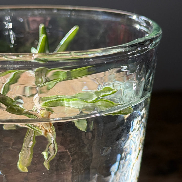 Textured Glass Tumbler | Clear