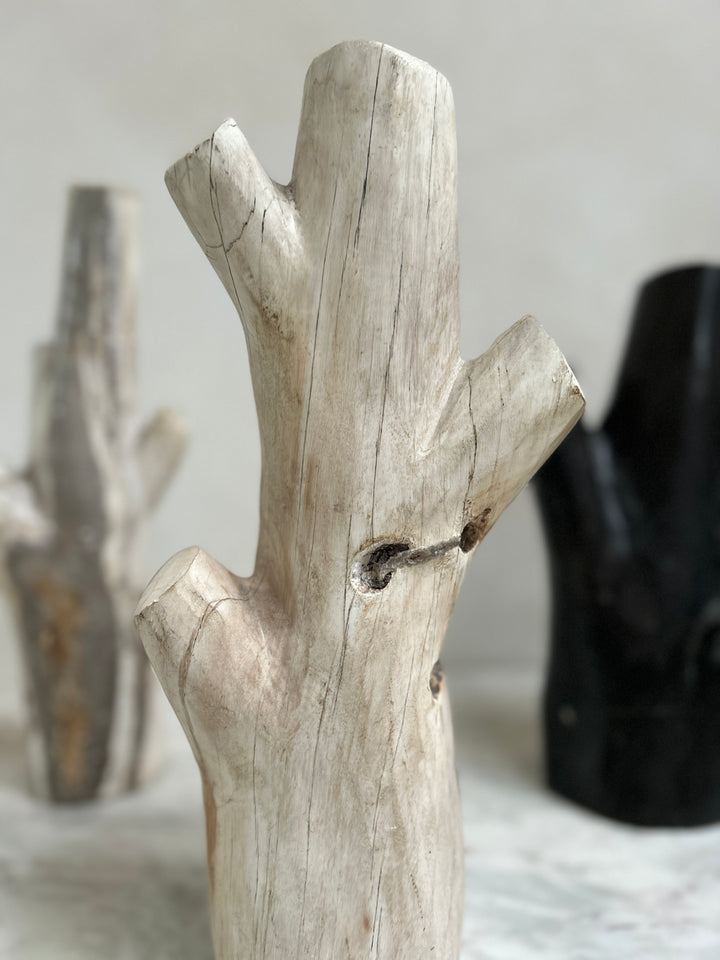 Petrified wood tree branch sculpture | Sari