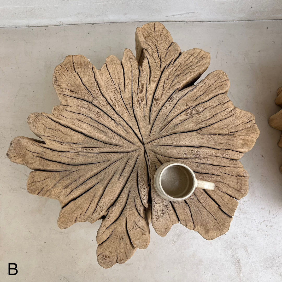 Ancient Tree Trunk Side Table Bruton