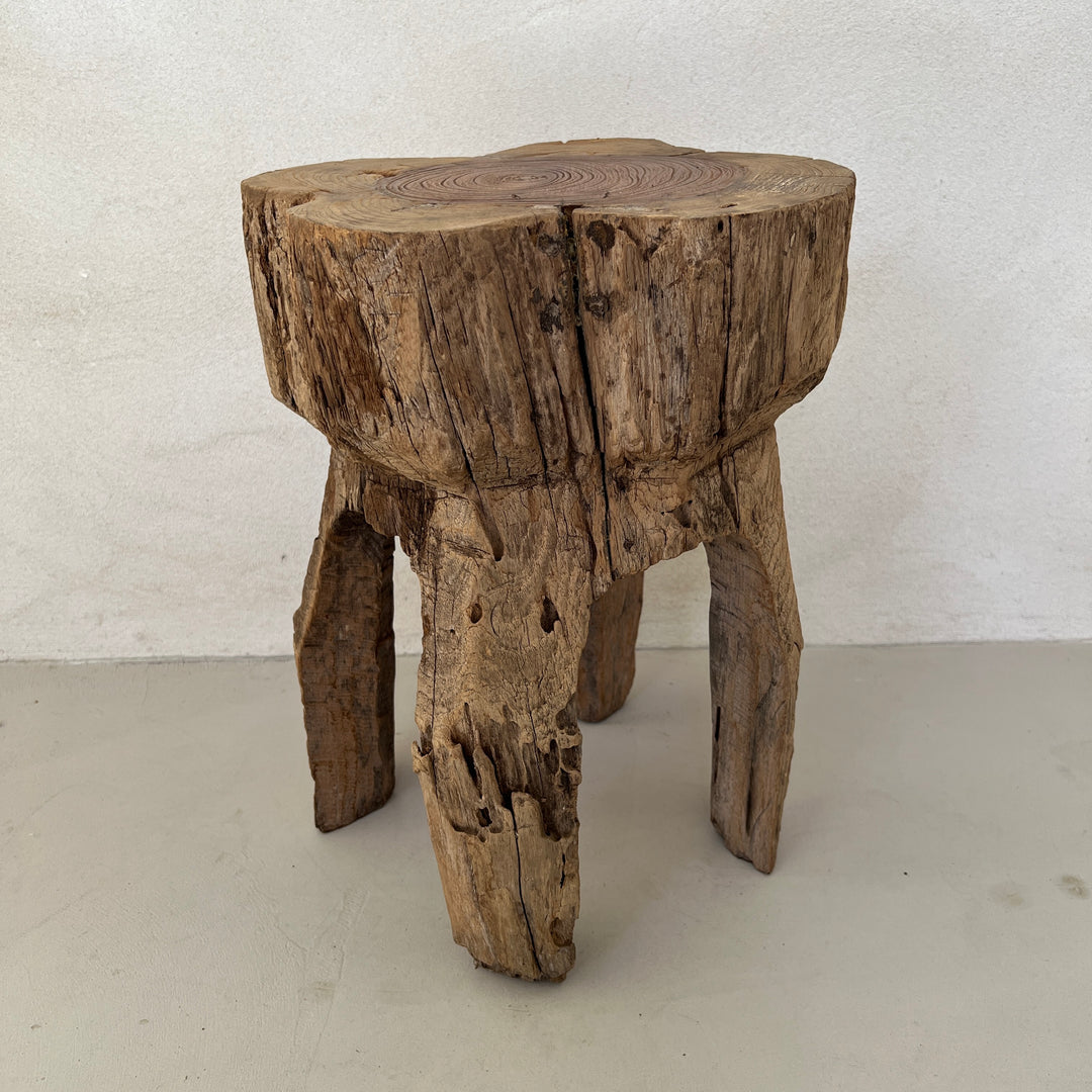 Tree Trunk Stool Side Table