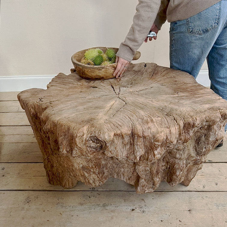 Huge tree trunk coffee table | Edgar