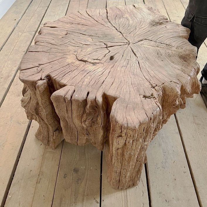 Huge tree trunk coffee table | Edgar