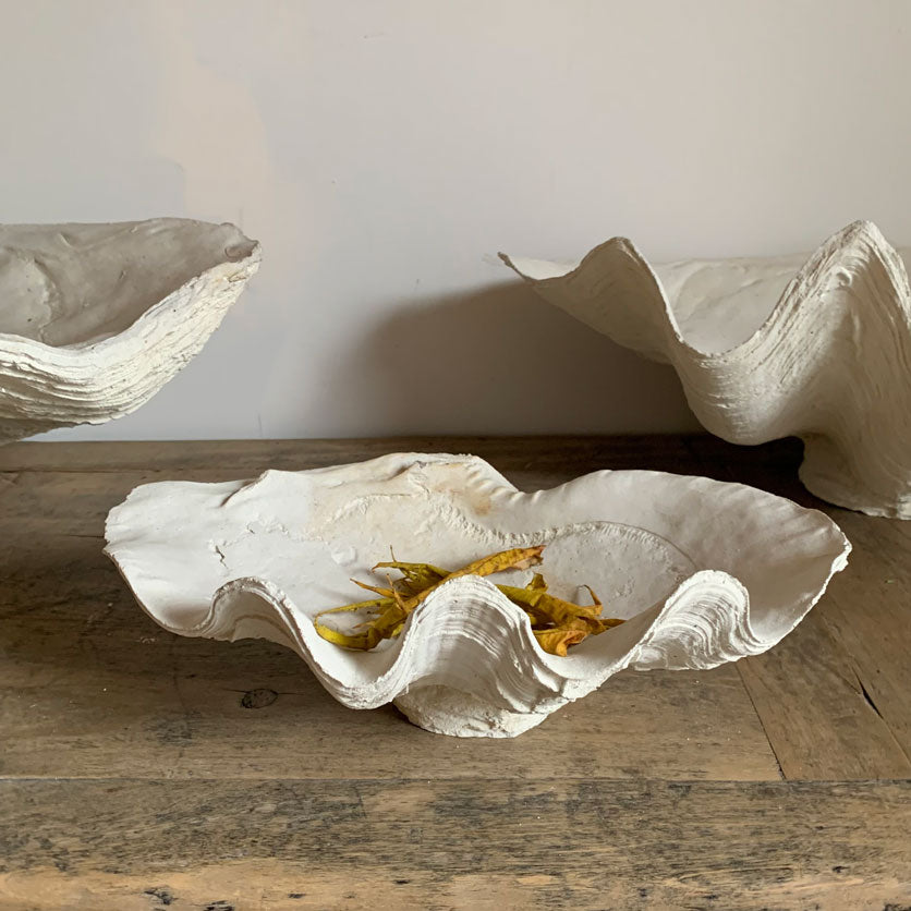 Plaster Clam Shell Vase | Extra Small – Home Barn