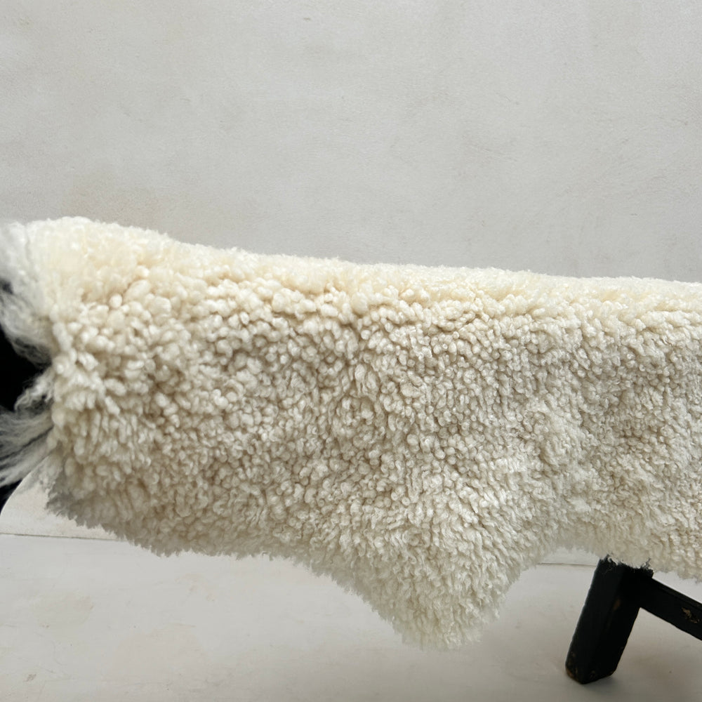 Extra large natural shearling sheepskin rug