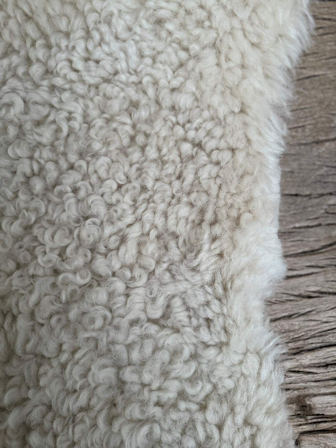 Extra large sheepskin rug | short wool