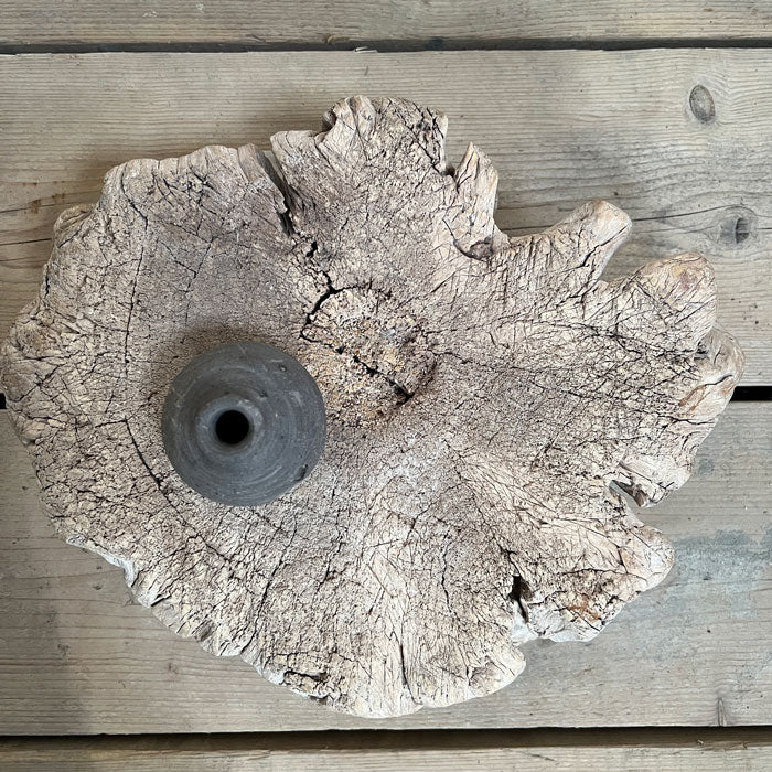 Small root wood antique tree stump | F