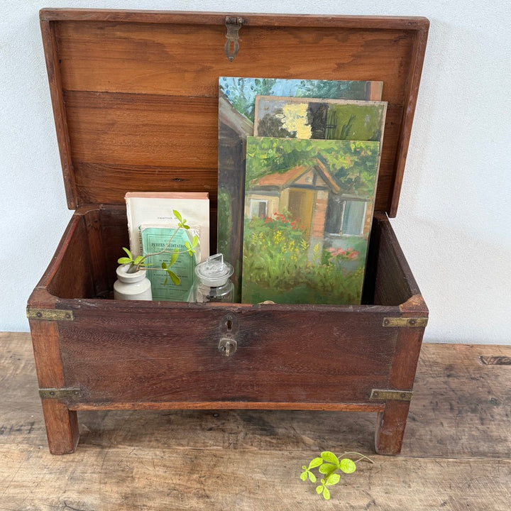 Antique Indian Teak Storage Box | Tara