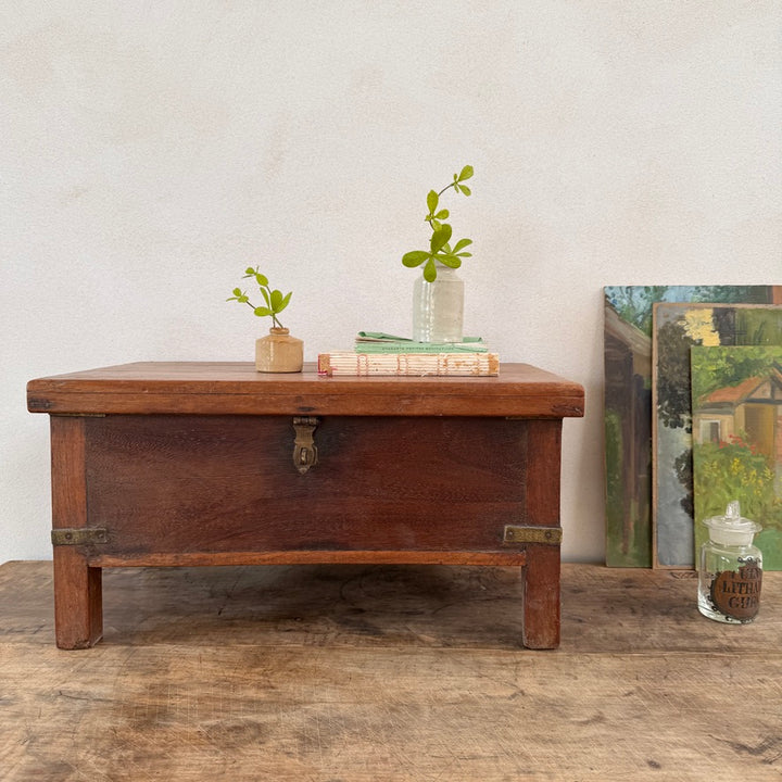Antique Indian Teak Storage Box | Tara