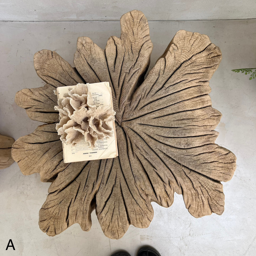 Ancient Tree Trunk Side Table Bruton
