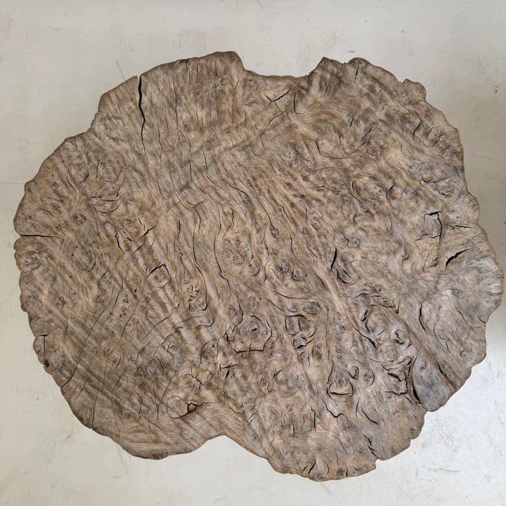 Ancient burr elm side table | Octavia