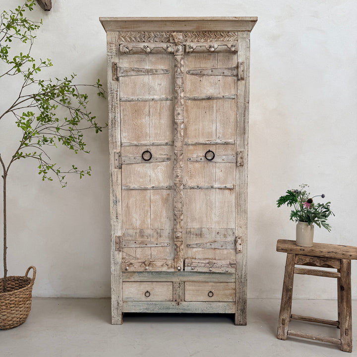 Salvaged Indian Antique Door Cupboard Rena