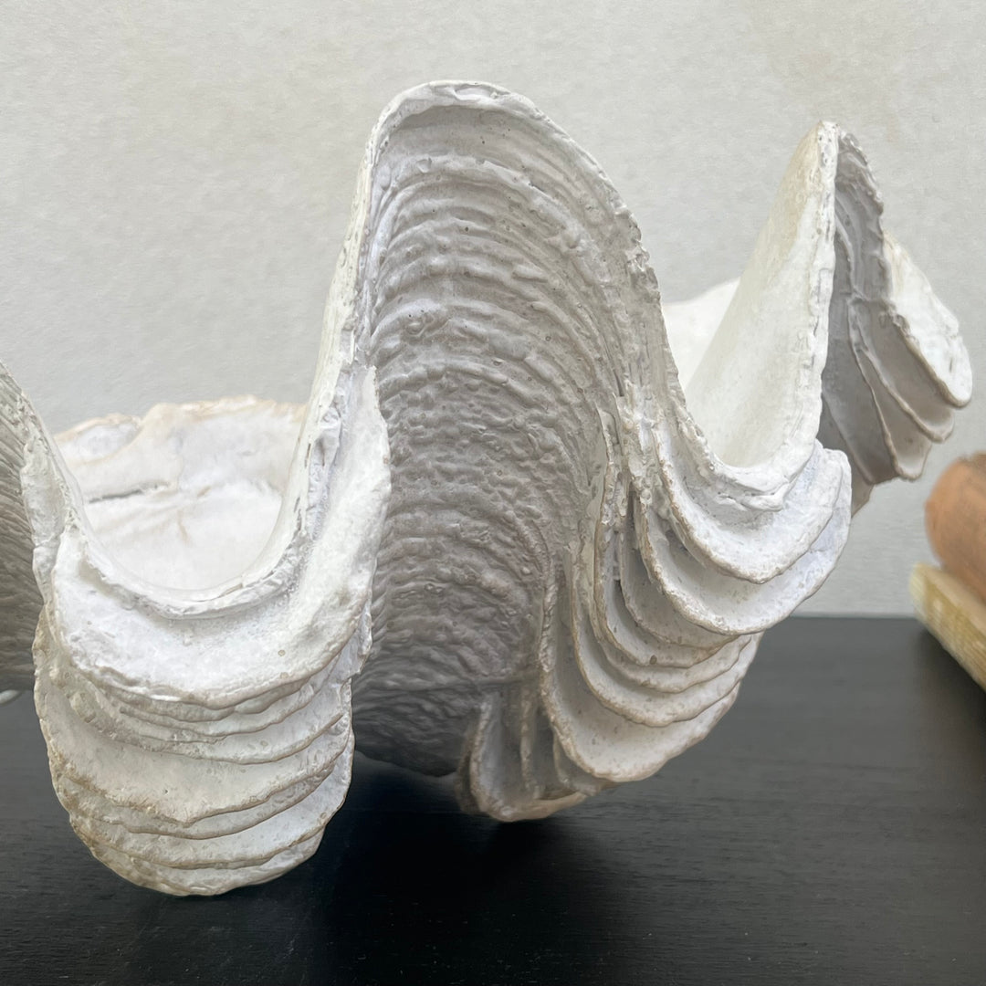 Decorative White Clam Shell