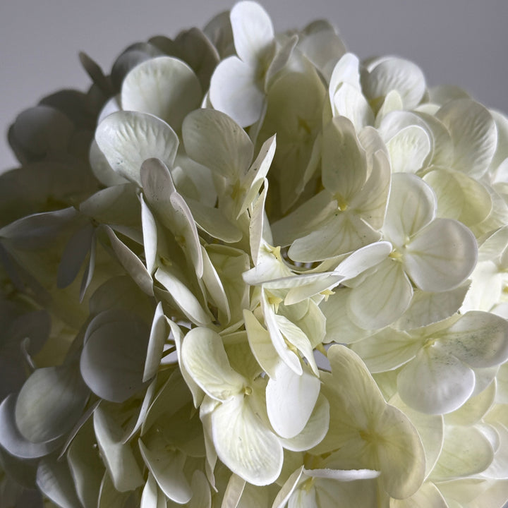 Faux single Hydrangea 47cm