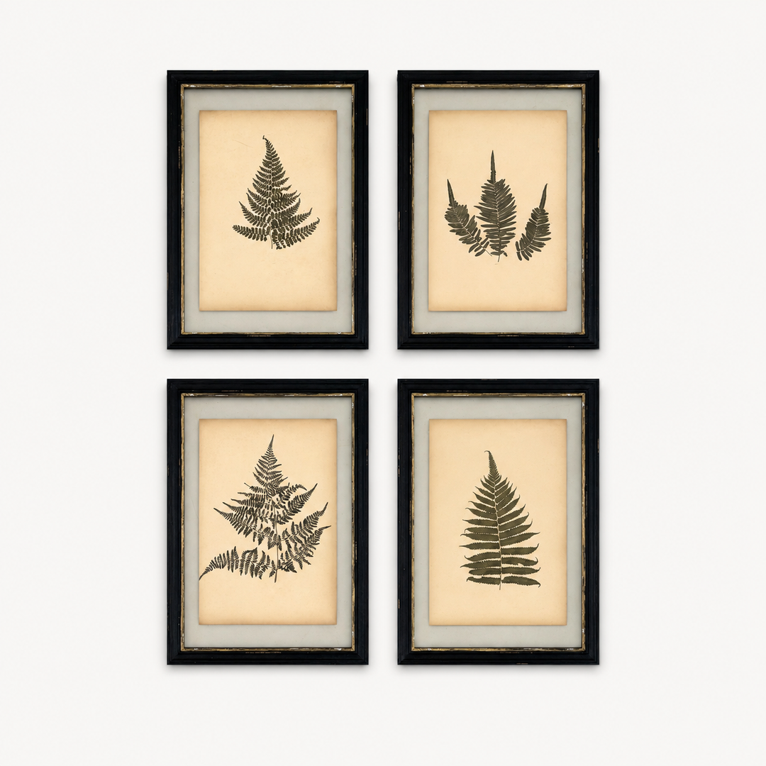 Antique Framed Fern Herbarium | Glass Backed Frame | Circa 1890