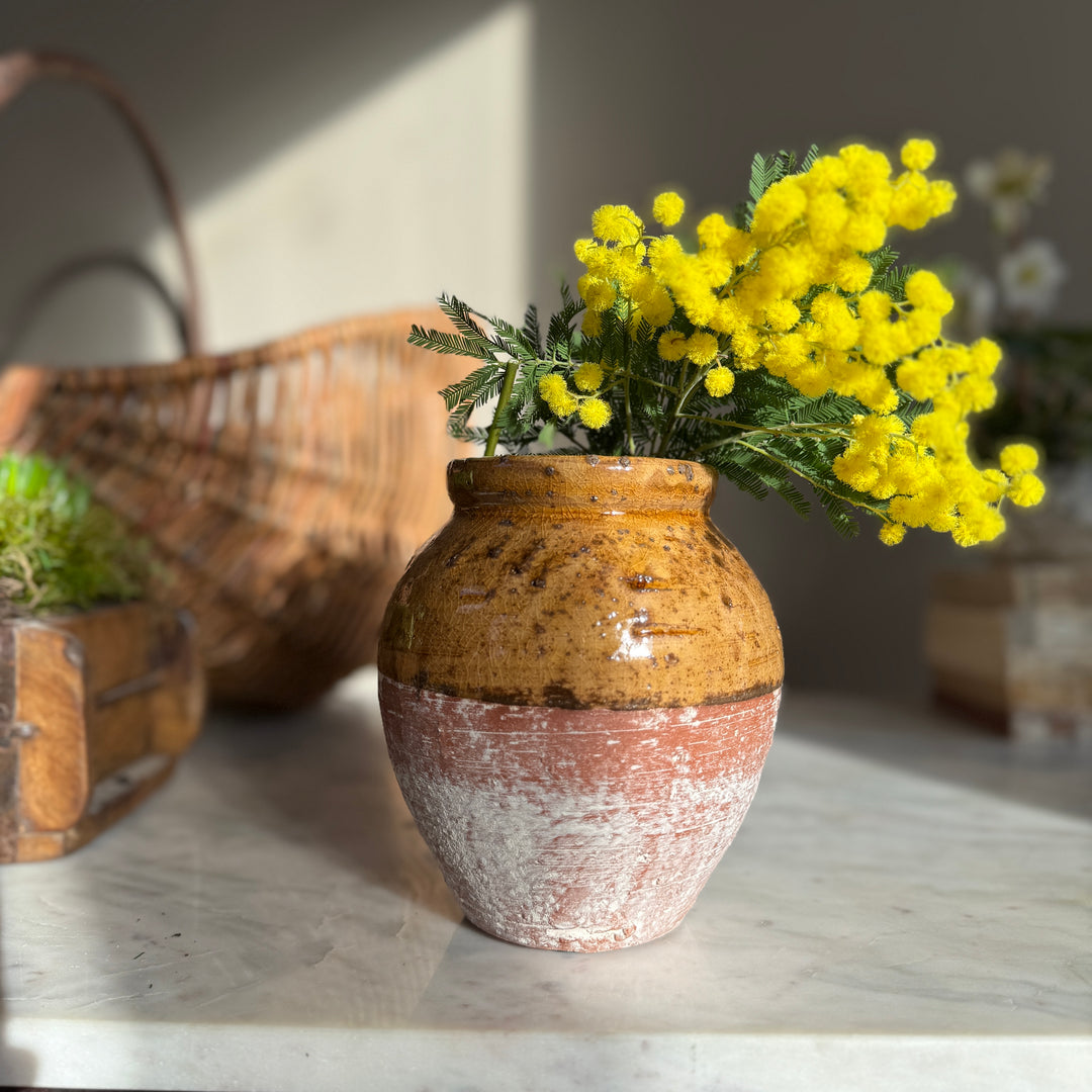 Half glazed decorative pot | Audrey