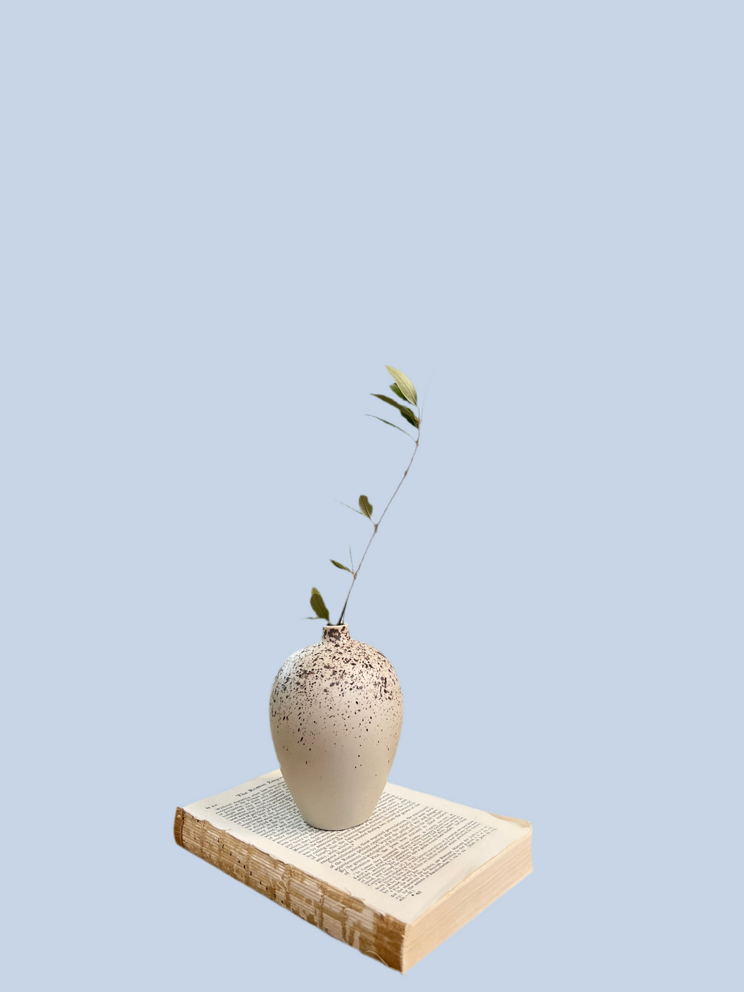 Handmade Ceramic Vase | SM9