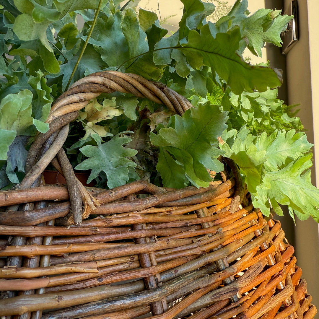 Handwoven Willow Basket | Cecily