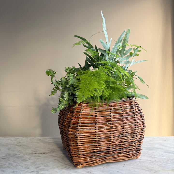 Handwoven Willow Basket | Cecily