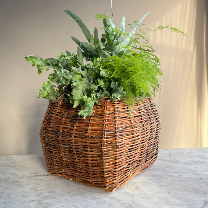 Handwoven Willow Basket | Cecily 