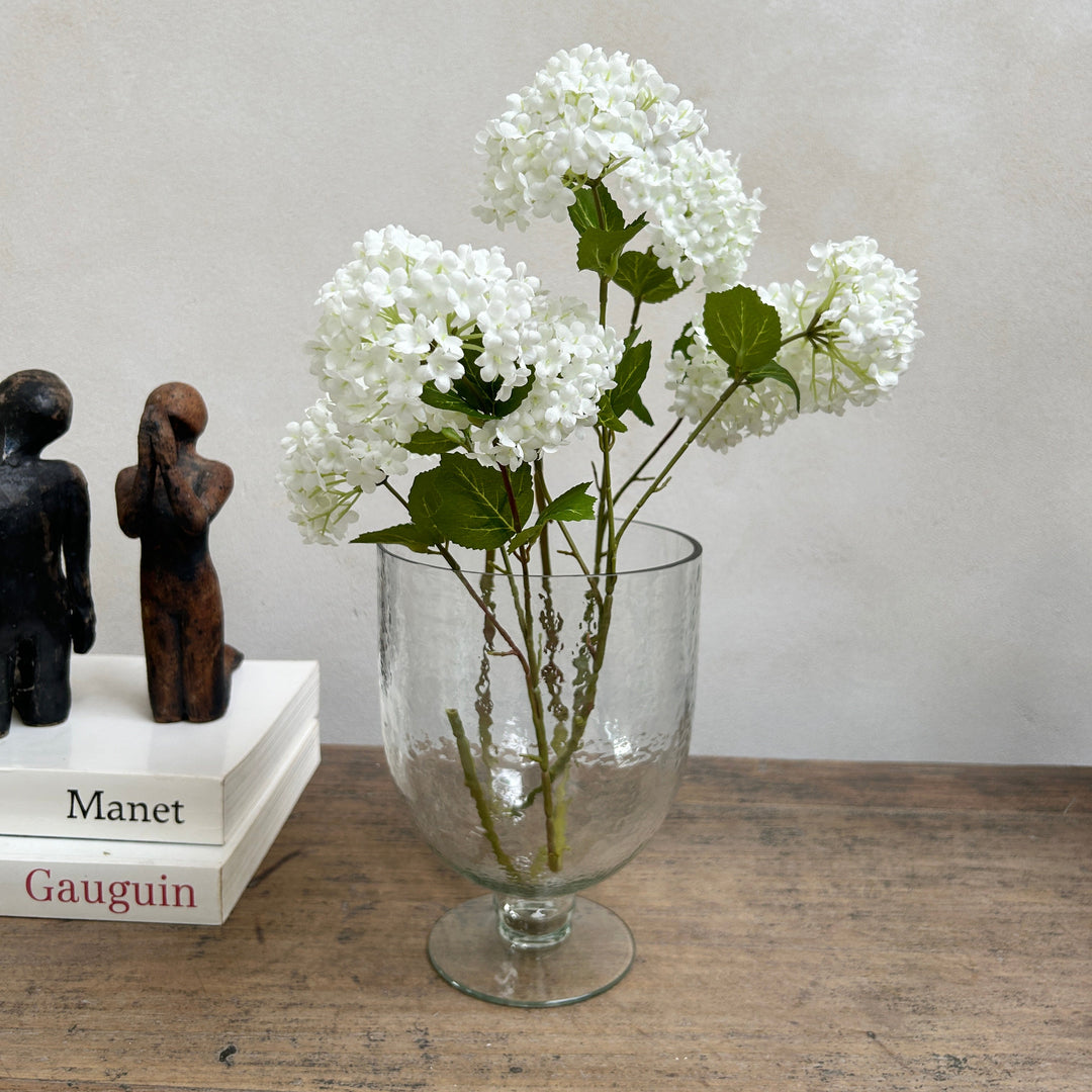 Hurricane Glass Vase | Lise