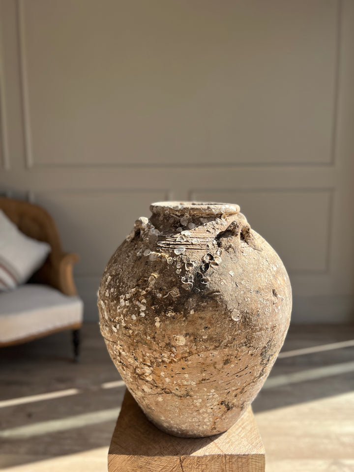 Antique Shipwreck Storage Jar | Singburi 87202