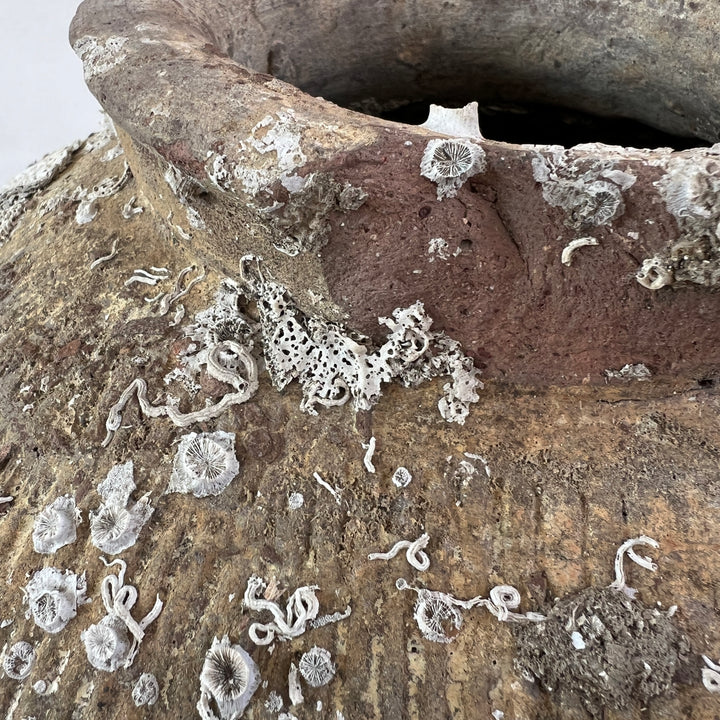 Antique rice wine urn from shipwreck | CH3