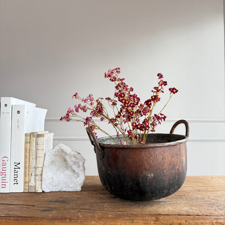 Vintage Copper Cauldron Planter D