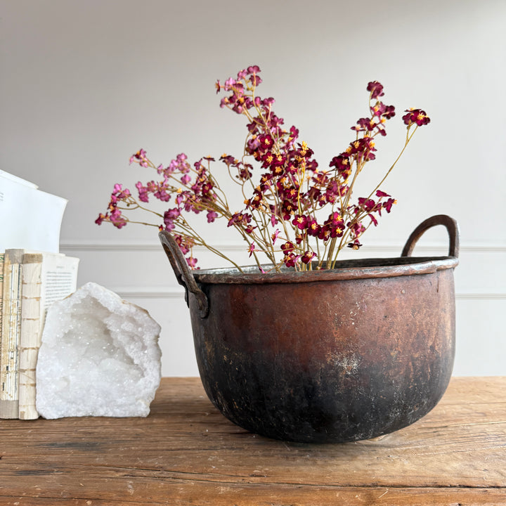 Vintage Copper Cauldron Planter D