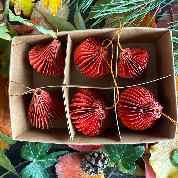 Box of six folded paper traditional decorations | Red