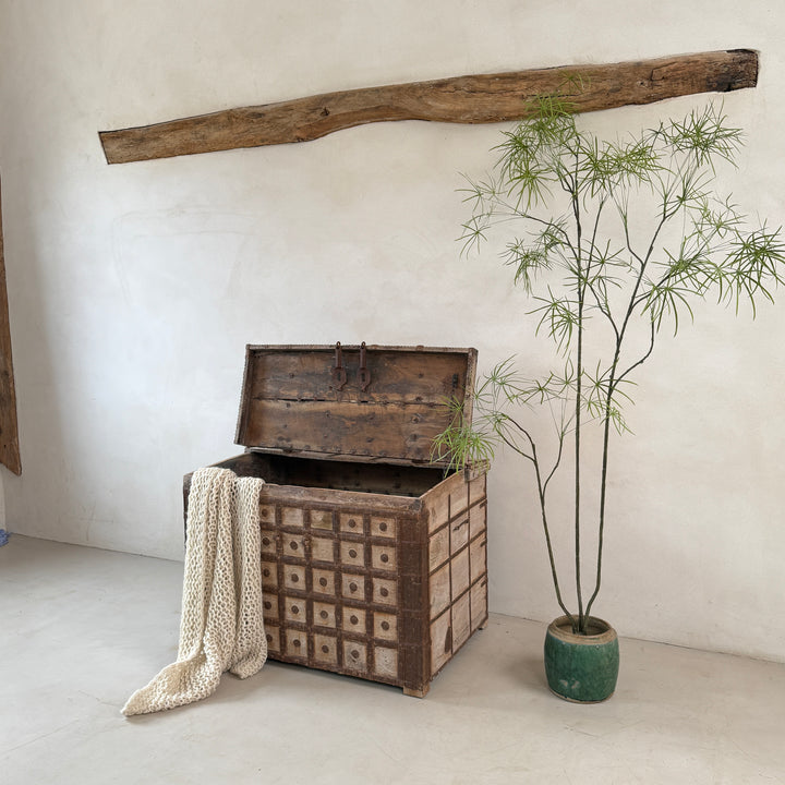 Antique 19th Century Indian Teak Dowry Chest | Laili